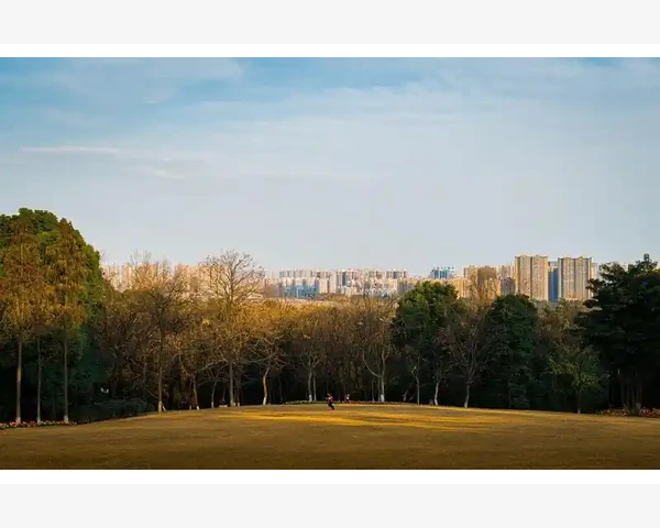 MT4策略回测功能实操演练与交易方法验证_信用额度与余额变动的交互逻辑
