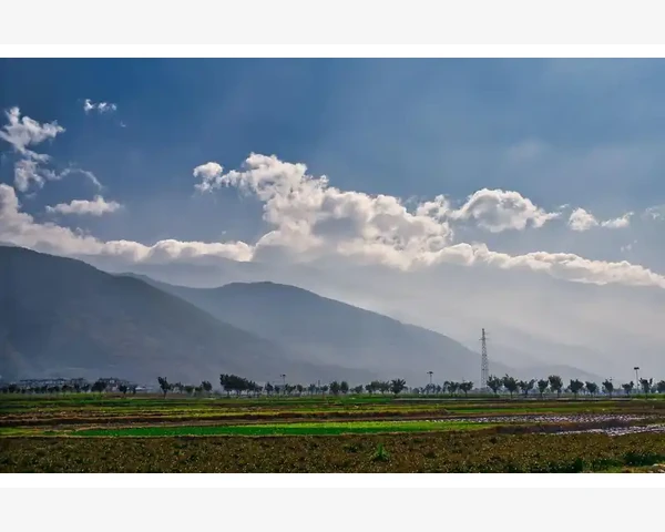 MT4智能交易程序运行失败的常见原因与修复方法