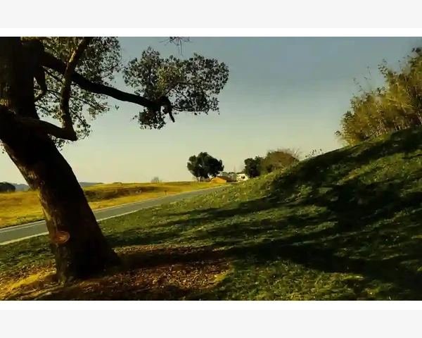 传统经销商深耕B2B能否打开盈利新通路_传统经销商深耕B2B能否打开盈利新通路