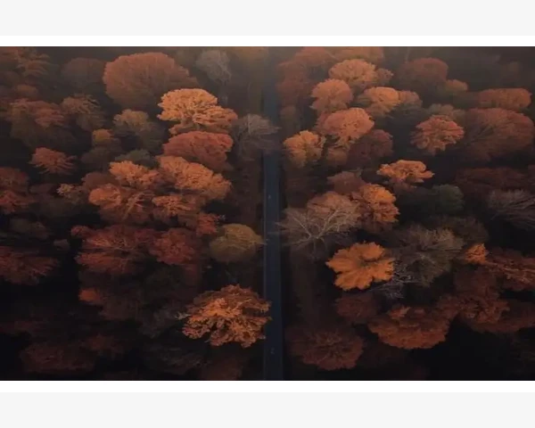 常见故障排查与养护技巧_熔断器电路保护核心与日常维护技巧