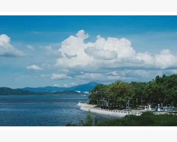 数据服务与增值产品的利润空间_B2B直击初创公司商标全案设计需求
