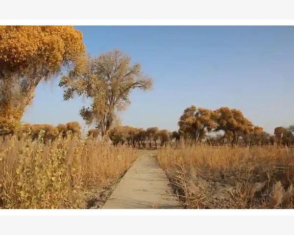 扎啤B2B代理的底层逻辑是什么_螺杆式空压机日常养护与高效运行技巧
