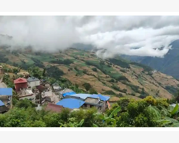 传统电汇与信用证的适用场景_工业高温过滤器滤芯选型与维护要点