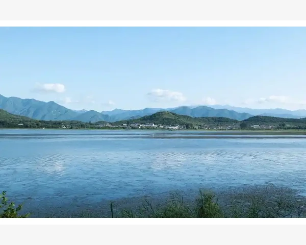 MT4策略回测功能实操演练与交易方法验证_认识策略测试器的基本操作界面