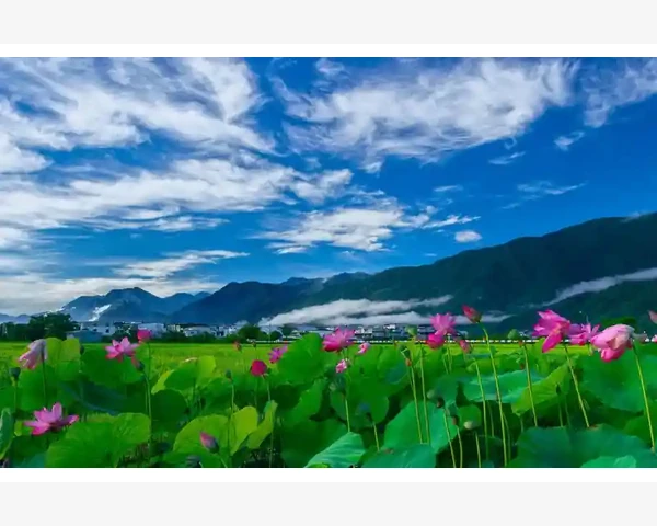 传统经销商利润下滑B2B能否拓宽盈利路_百强企业的商业模式特点