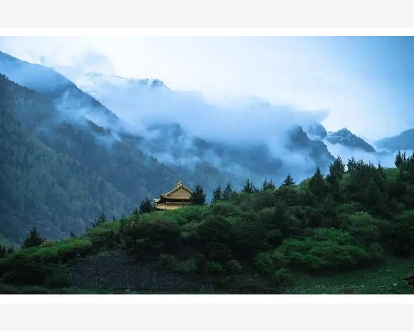 集采B2B的挑战与应对策略_普吉B2B平台操作全流程实战解析