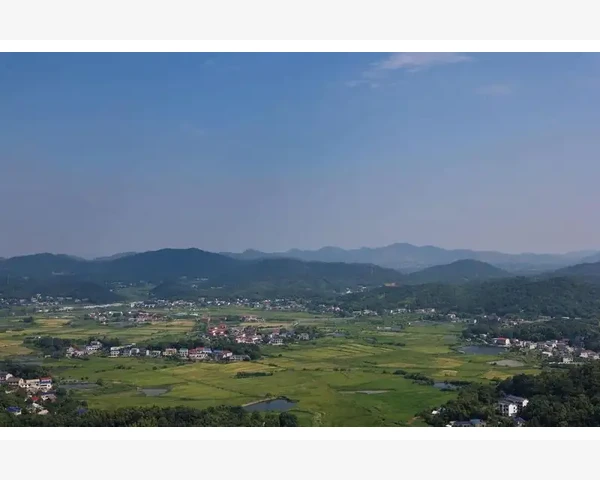 MT4内置皮尔逊相关系数工具缺失与自编实现路径_中间还有个隐藏自选的小门户