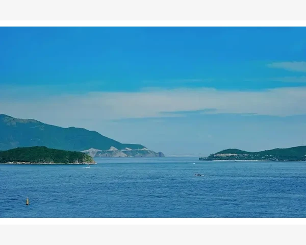 MT4电脑版实时洞察市场波动的实用方法_MT4电脑版实时洞察市场波动的实用方法