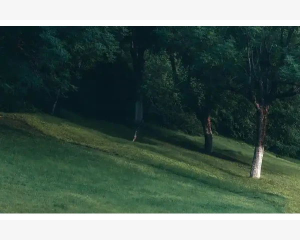 液压机操作核心与日常养护技巧_挑选适合的免费平台
